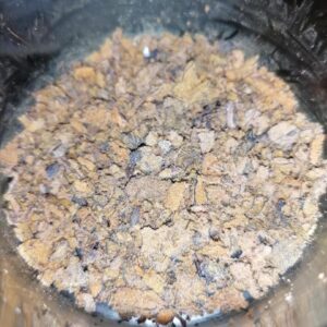 Dried Chaga mushroom for sale