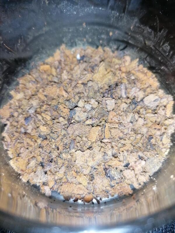 Dried Chaga mushroom for sale
